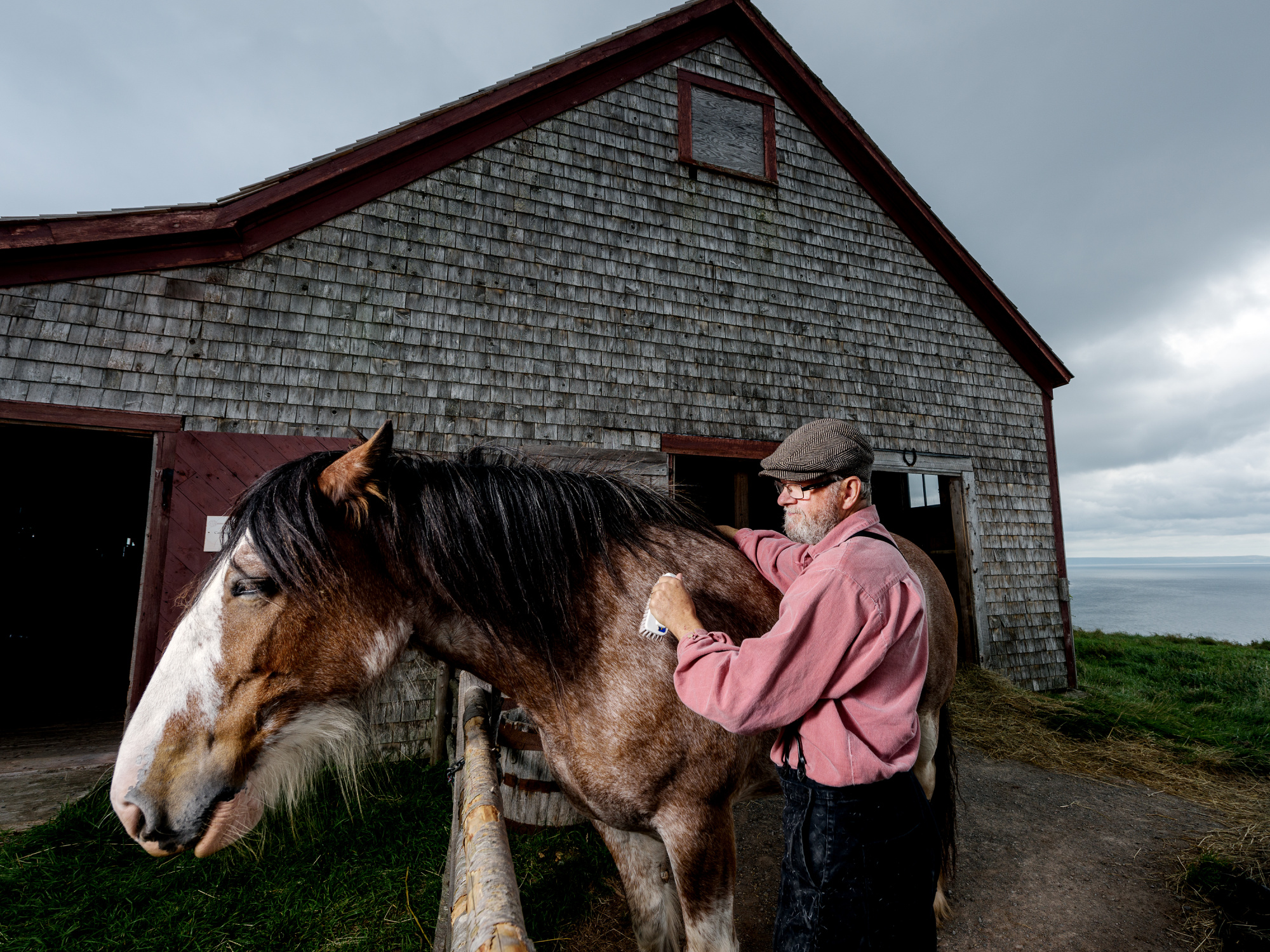 Costumed interpreter grooms a horse at Highland Village.