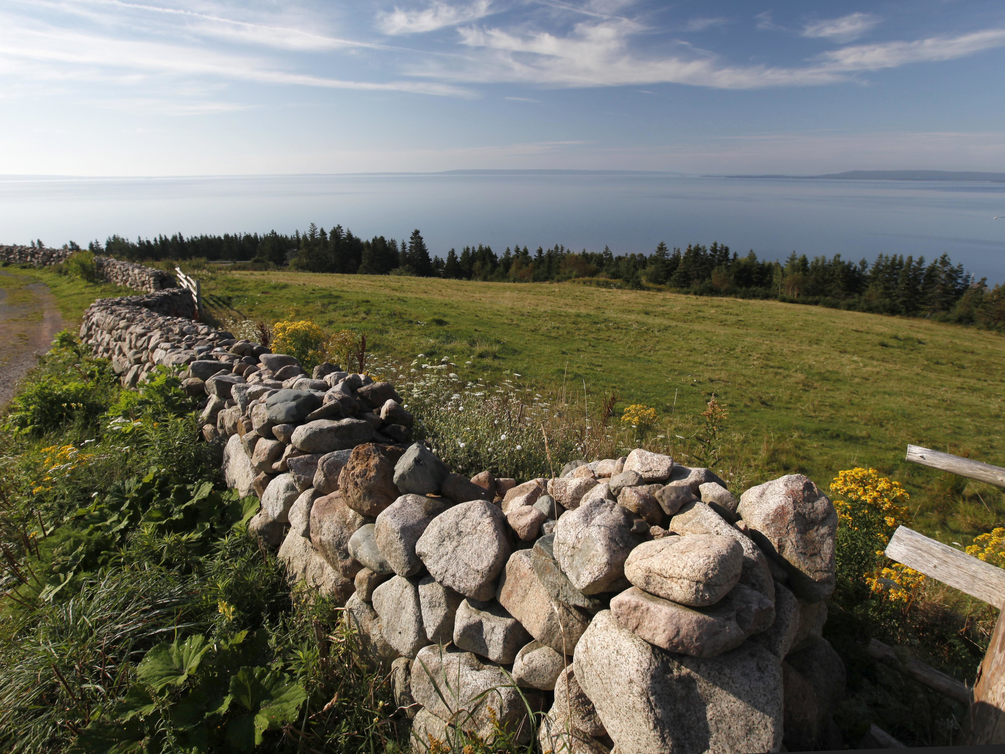 A stone wall divides a road and a field at Highland Village.