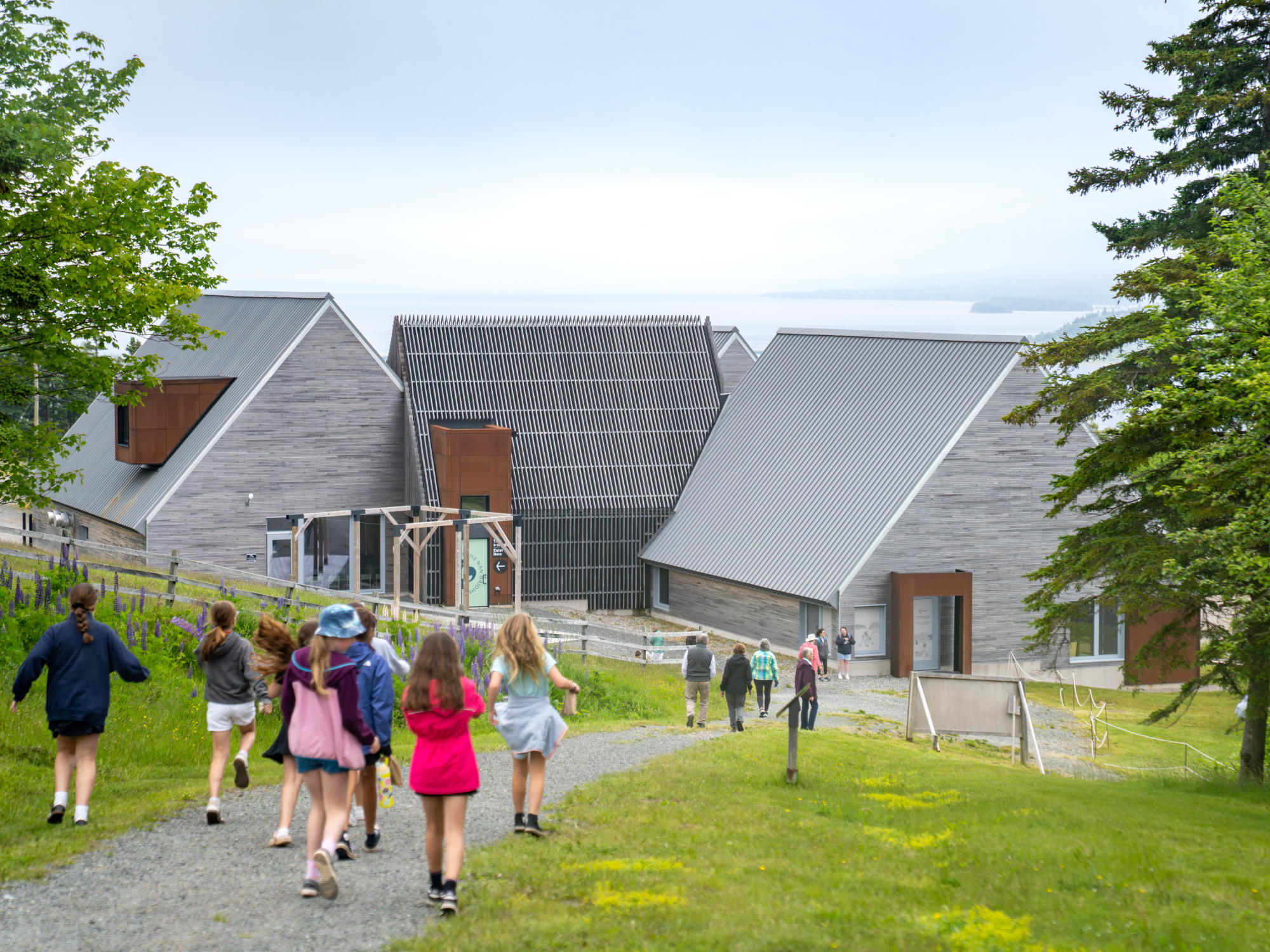 A view from a grassy hillside path looking down toward the modern visitor centre at Highland Village Museum. A group of children is walking down the gravel pathway in the foreground, with other visitors visible further ahead. The building features a contemporary design with multi-peaked metal roofs, grey wood siding, and rusted metal accents. A hillside field with purple lupins stands to the left, and a vast body of water is visible under an overcast sky in the background.