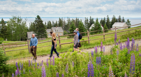Visitors at Highland Village walling past a field of lupins.