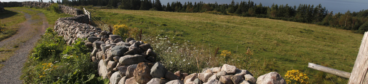 A stone wall divides a road and a field at Highland Village.