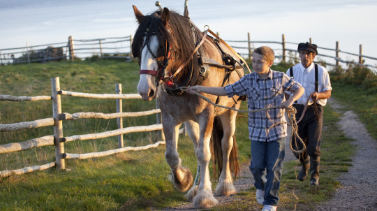Two children walking a horse.