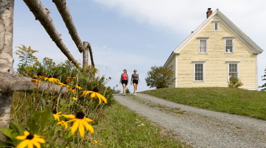 Visitors walk down the lane at Highland Village. Yellow flowers grow in the foreground.
